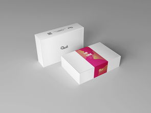 產(chǎn)品包裝 禮盒設(shè)計 互聯(lián)網(wǎng)企業(yè)